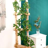 uploads/erp/collection/images/Home Garden/CongDing/XU0611212/img_b/XU0611212_img_b_1